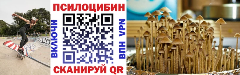 Псилоцибиновые грибы прущие грибы где найти наркотики Ясный
